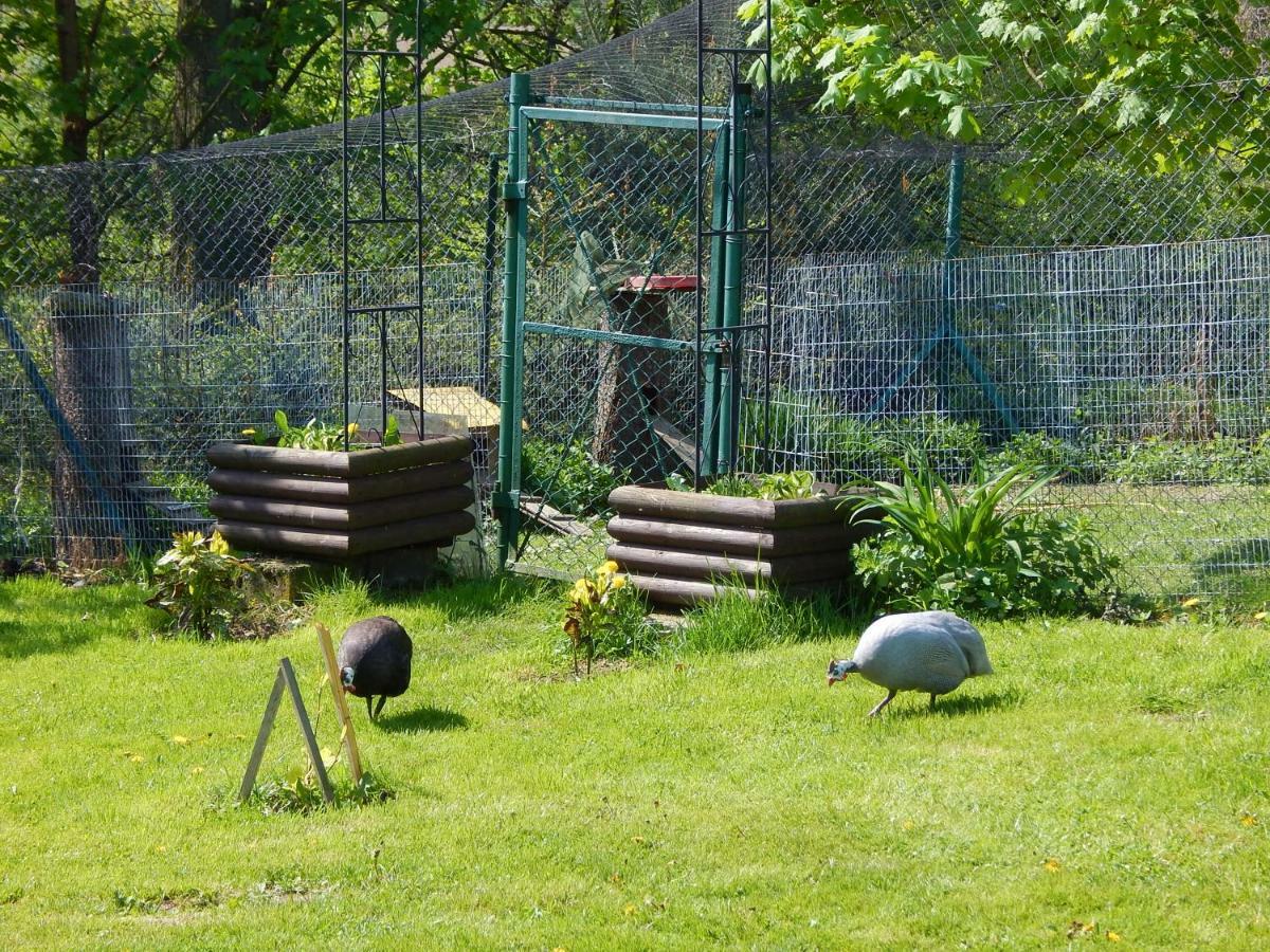 Pokoje Goscinne Ostoja Mirsk Exterior foto